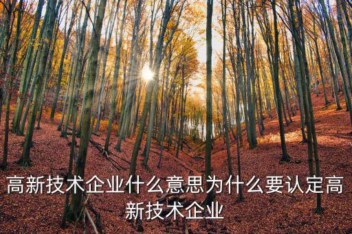 云浮市有多少高新技術企業,高新技術企業什么意思