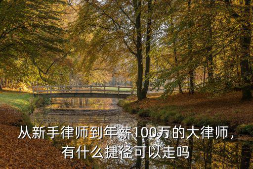 山東年收入100萬(wàn)的律師有多少,律師一年收入能有多少