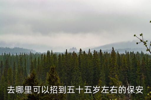 湛江市哪里招保安,哪里招聘保安