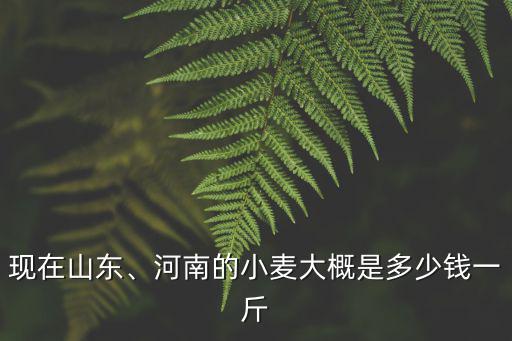 山東泰安小麥多少錢一斤,小麥價格4元一斤