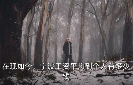 在現如今，寧波工資平均到個人有多少錢
