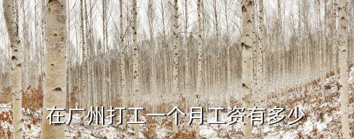 在廣州打工一個月工資有多少