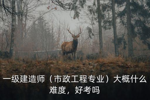 衢州一級市政建造師有多少,一級建造師年薪一般有多少