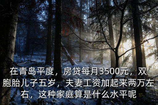 在青島平度，房貸每月3500元，雙胞胎兒子五歲，夫妻工資加起來兩萬左右，這種家庭算是什么水平呢