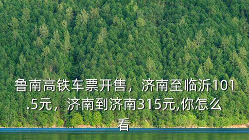 宜賓到濟南高鐵車票多少錢一張,魯南高鐵車票開售