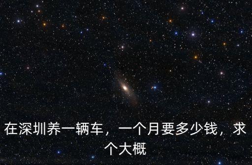 深圳一個月生活費大約多少,一個月要多少錢