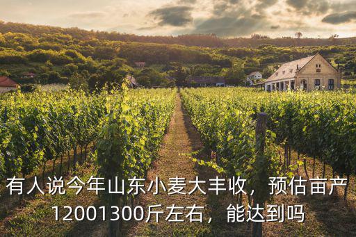 山東收割麥子一畝產多少斤,山東小麥進入收割期