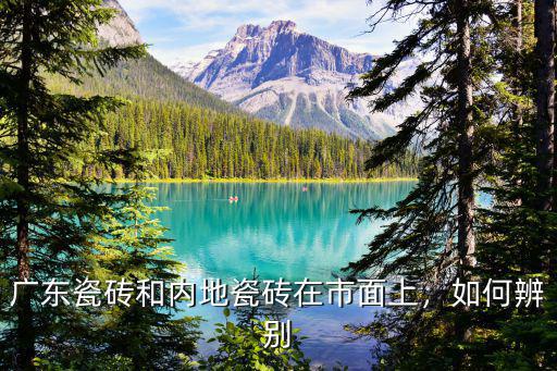 怎么買瓷磚廣東,廣東瓷磚和山東瓷磚怎么區(qū)分