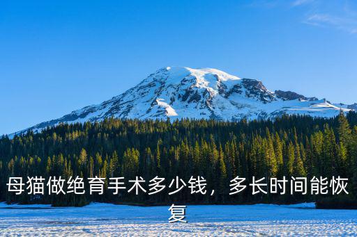 母貓絕育手術(shù)多少錢杭州,給母貓做絕育要花多少錢