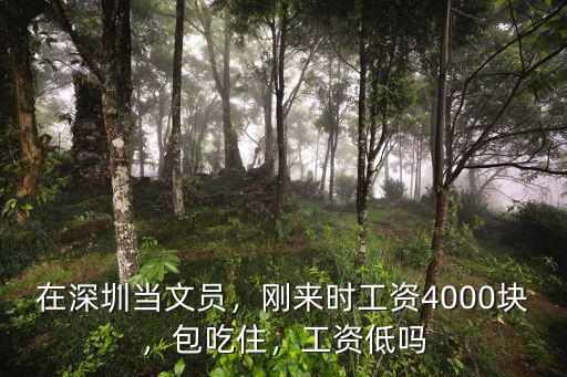 2017深圳文員工資多少錢,在深圳當文員