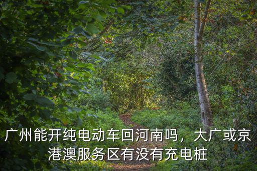 廣州湛江新能源車高速怎么充電,新能源汽車充電問題如何解決