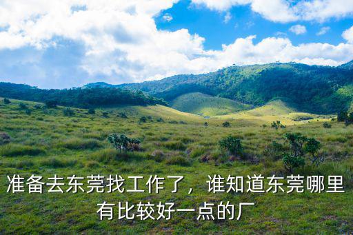 東莞抓雞哪里最好,準備去東莞找工作了