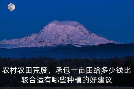 嘉興田承包多少一畝,600元一畝承包田