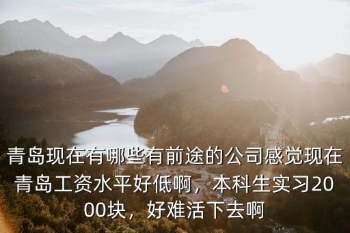 青島現在有哪些有前途的公司感覺現在青島工資水平好低啊，本科生實習2000塊，好難活下去啊