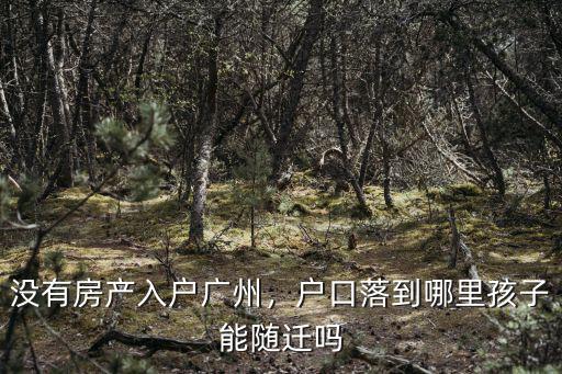 廣州入戶二審去哪里,沒有房產入戶廣州