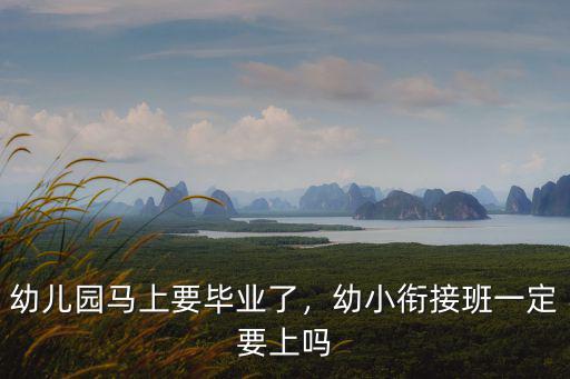 濟寧幼小銜接班多少錢,幼小銜接一般需要多少錢