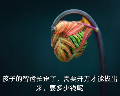 孩子的智齒長歪了，需要開刀才能拔出來，要多少錢呢