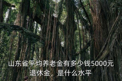 山東省平均養(yǎng)老金有多少錢5000元退休金，是什么水平