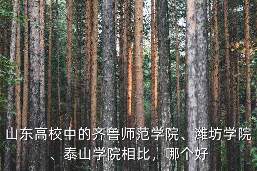 山東高校中的齊魯師范學院、濰坊學院、泰山學院相比，哪個好