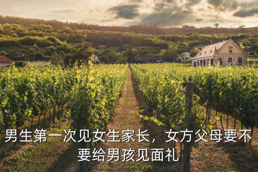浙江見家長一般給多少紅包,第一次見男朋友家長