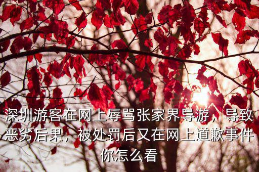 深圳導(dǎo)游怎么收費(fèi)的,深圳游客質(zhì)疑導(dǎo)游收費(fèi)