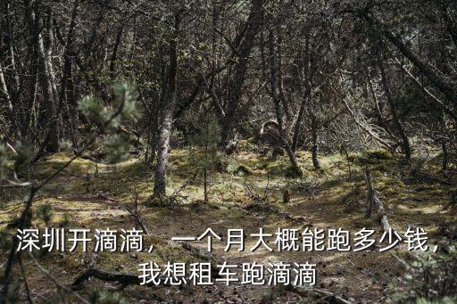 深圳租車每月要多少錢一個月,勤快點一個月大概能賺多少錢