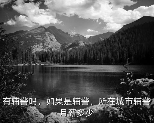 山東薛城輔警的工資是多少,所在城市輔警月薪多少