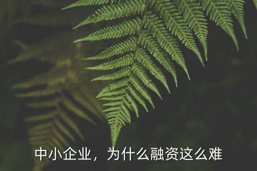珠海中小企業融資怎么樣,為什么融資這么難