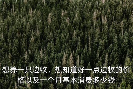 想養一只邊牧，想知道好一點邊牧的價格以及一個月基本消費多少錢