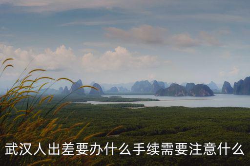 武漢人出差要辦什么手續需要注意什么