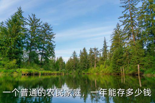 一個普通的農(nóng)民家庭，一年能存多少錢