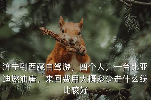 成都到濟寧自駕游費用多少,濟寧到西藏自駕游