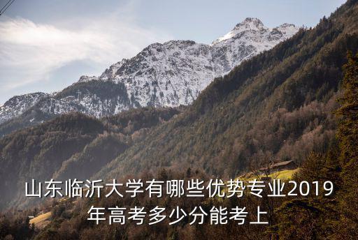 山東臨沂大學有哪些優勢專業2019年高考多少分能考上
