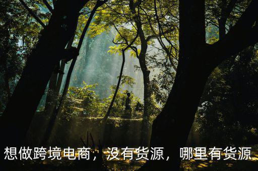 想做跨境電商，沒有貨源，哪里有貨源