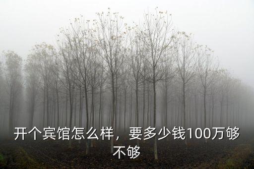 開個賓館怎么樣，要多少錢100萬夠不夠
