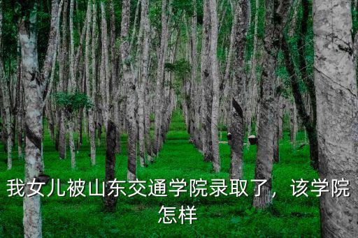 山東交通學院補考最高給多少,我女兒被山東交通學院錄取了