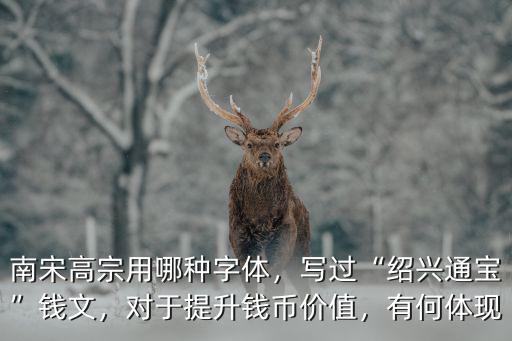 南宋高宗用哪種字體，寫過“紹興通寶”錢文，對于提升錢幣價值，有何體現