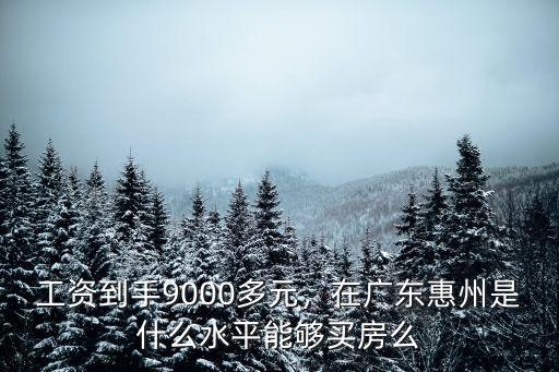 工資到手9000多元，在廣東惠州是什么水平能夠買房么