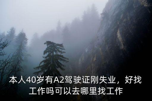 茂名去哪里找工作好找,大齡農民工去哪找工作好