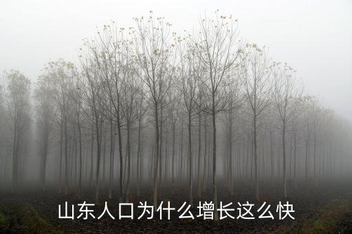 山東人口為什么增長(zhǎng)這么快