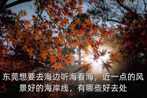 東莞的海在哪里,東莞去哪里的海邊好玩些