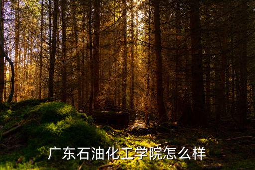 廣東石油化工學院怎么樣