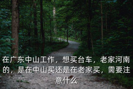 在廣東中山工作，想買臺(tái)車，老家河南的，是在中山買還是在老家買，需要注意什么