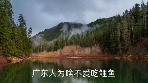廣東人怎么吃魚好吃,廣東人為啥不愛吃鯉魚