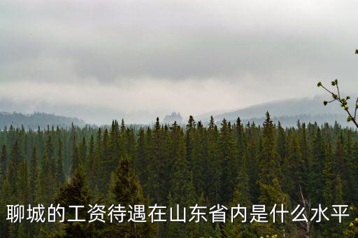 聊城一個(gè)月2000工資是多少,夫妻倆每月工資4000塊