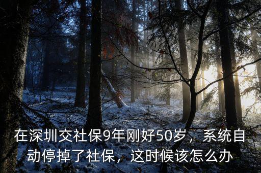 深圳社保系統自動繳費交多少年,在深圳交社保9年剛好50歲