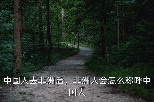 廣東人怎么稱呼非洲人,非洲人為什么是黑人