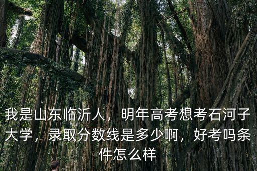 我是山東臨沂人，明年高考想考石河子大學(xué)，錄取分?jǐn)?shù)線是多少啊，好考嗎條件怎么樣