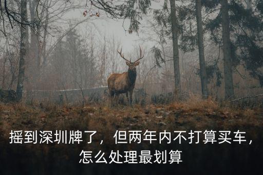 搖到深圳牌了，但兩年內(nèi)不打算買車，怎么處理最劃算