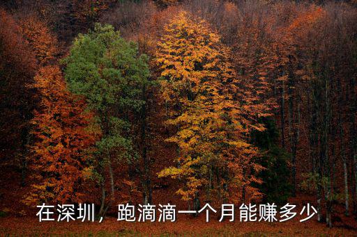在深圳，跑滴滴一個月能賺多少